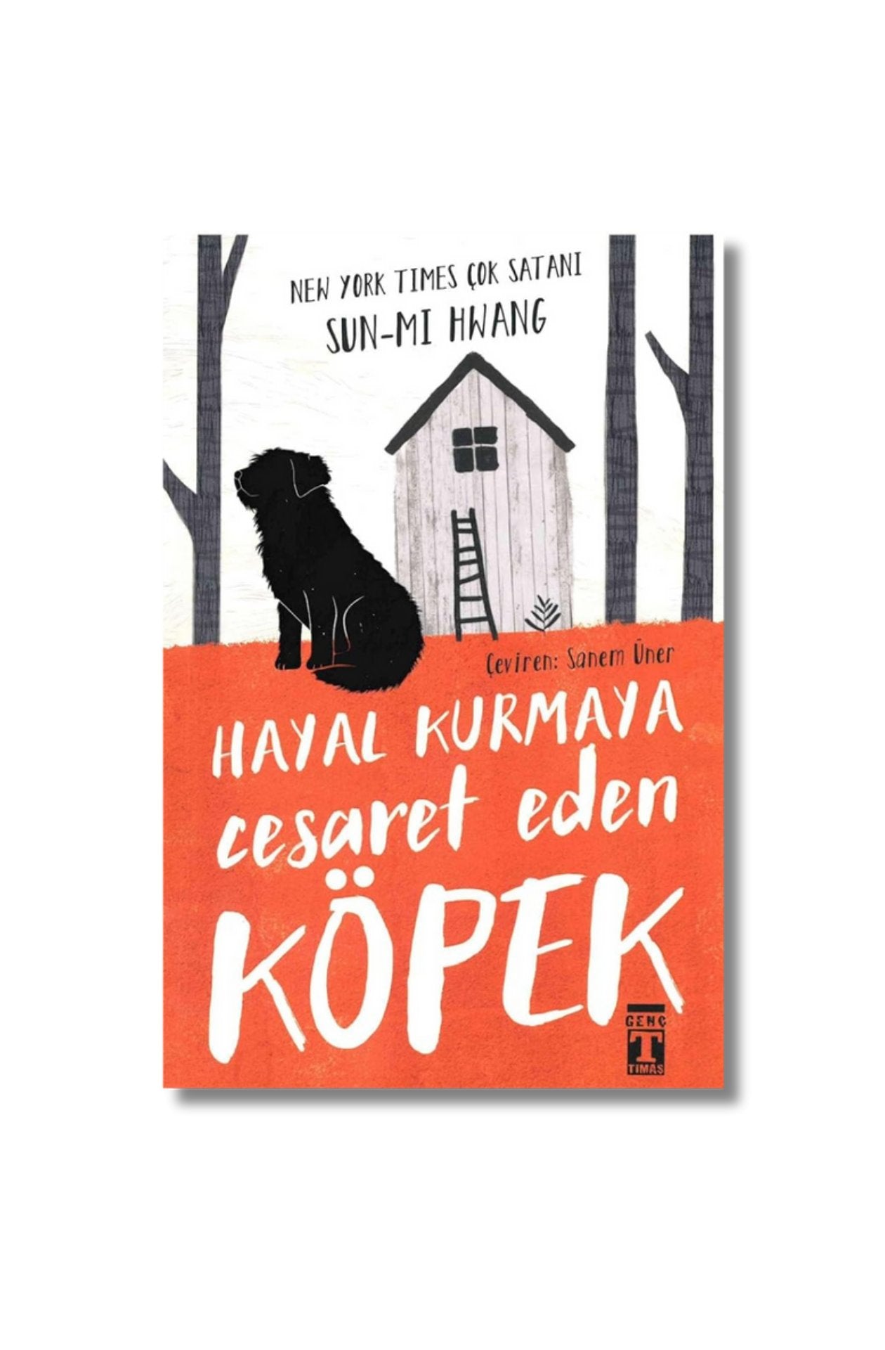 Hayal Kurmaya Cesaret Eden Köpek cover image